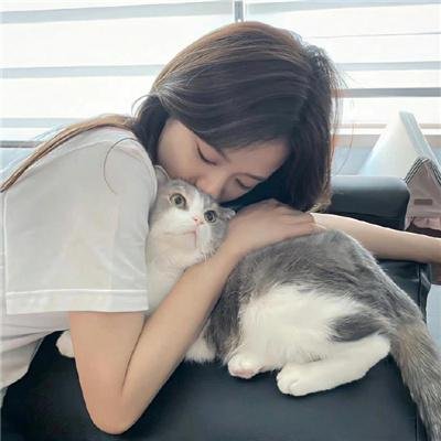美人图封面